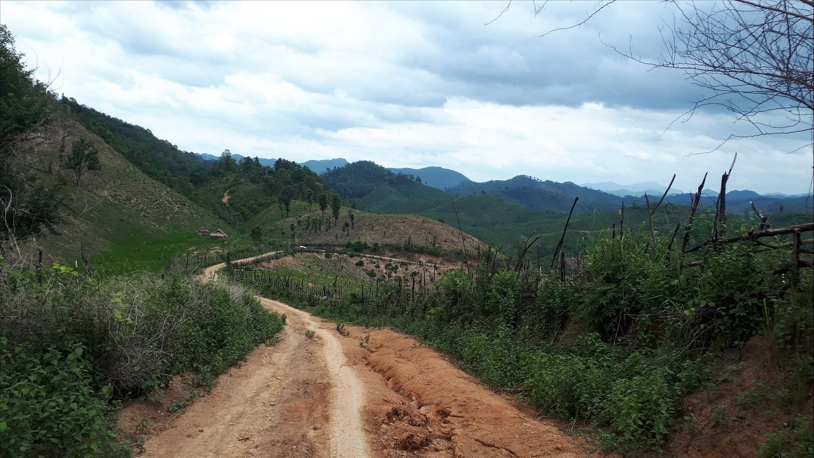 Bike Tours in Laos: From Rural Villages to Bustling Cities